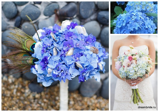 цветы для букетов фото и название: синяя и голубая гортензия