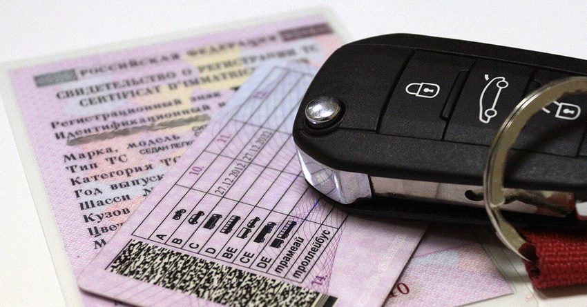 Какие данные можно получить из водительского удостоверения?